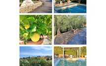 Billeder fra gæster i Al Melo