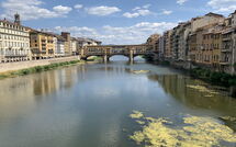 Billeder fra gæster i Ginestra Fiorentina 110