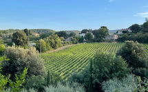 Billeder fra gæster i Casa Cervognano