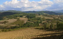 Billeder fra gæster i Villa del Conte