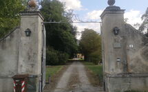 Billeder fra gæster i Villa del Conte