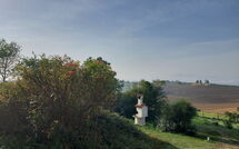 Billeder fra gæster i Chiusi 607