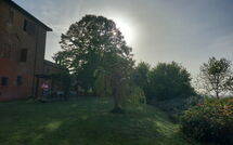 Billeder fra gæster i Chiusi 607