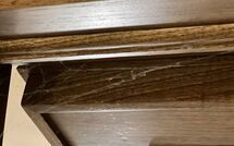 Billeder fra gæster i La Cipressa