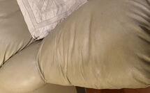 Billeder fra gæster i La Cipressa