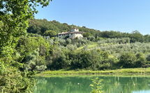 Billeder fra gæster i Ricavoli