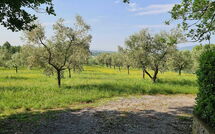 Billeder fra gæster i Il Fontanino