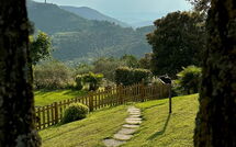 Billeder fra gæster i Villa Crispinino