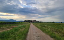 Billeder fra gæster i Borgo Casa di Lappi