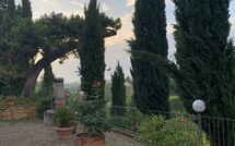 Billeder fra gæster i Il Sangiovese