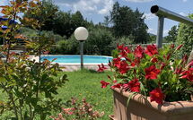 Billeder fra gæster i Il Sangiovese