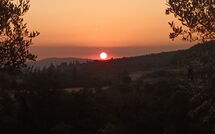 Billeder fra gæster i Villa Giotto