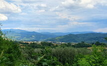 Billeder fra gæster i La Ripresa