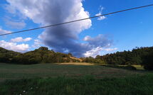 Billeder fra gæster i La Ripresa