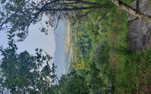 Billeder fra gæster i La Ripresa