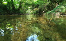 Billeder fra gæster i La Ripresa