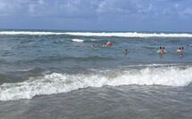 Billeder fra gæster i Al Magliano