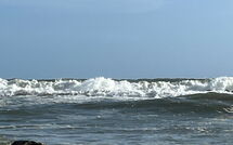 Billeder fra gæster i Al Magliano