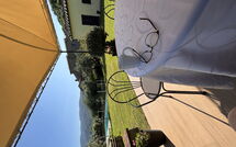 Billeder fra gæster i Orangerie degli Ulivi