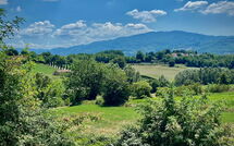 Billeder fra gæster i Villa la Collina