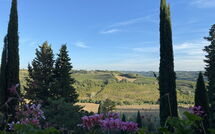 Billeder fra gæster i Montegufoni