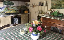 Billeder fra gæster i Villa la Collina