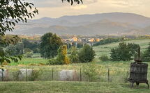 Billeder fra gæster i Villa la Collina