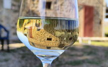 Billeder fra gæster i Il Casale