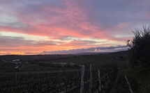 Billeder fra gæster i Brunello