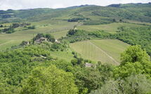 Billeder fra gæster i Camporempoli