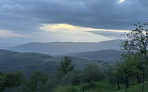 Billeder fra gæster i Villa Ancora