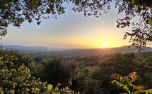 Billeder fra gæster i Poggiolo