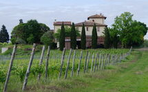 Billeder fra gæster i Tavarnelle Val di Pesa 617