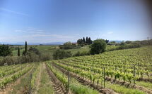 Billeder fra gæster i Tavarnelle Val di Pesa 617