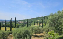 Billeder fra gæster i Tenuta Il Tresto