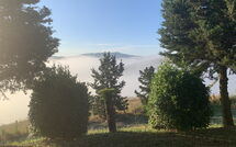 Billeder fra gæster i Lajatico 602