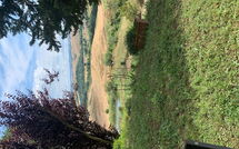 Billeder fra gæster i Lajatico 602