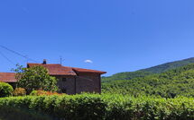 Billeder fra gæster i La Casa del Nonno