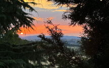 Billeder fra gæster i Villa Camelia