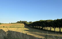 Billeder fra gæster i Villa Camelia