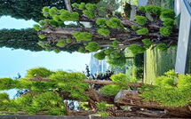 Billeder fra gæster i Poggio Falcone