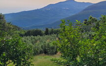 Billeder fra gæster i Casale Fonte