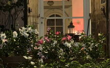 Billeder fra gæster i La Casa dei Limoni, Camaiore, Pet Friendly, Wifi