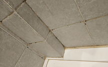 Billeder fra gæster i Marina di Bibbona 150