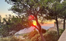 Billeder fra gæster i Podere Santa Lucia