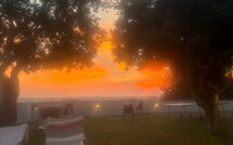 Billeder fra gæster i Massarosa Front Lake, the Gargoyles