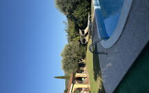 Billeder fra gæster i Villa Il Cipresso