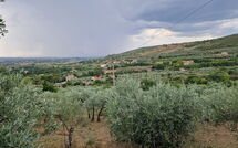 Billeder fra gæster i San Eusebio