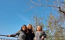 Billeder fra gæster i I Tre Castagni