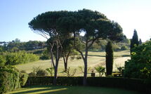 Billeder fra gæster i Villa Clara 20